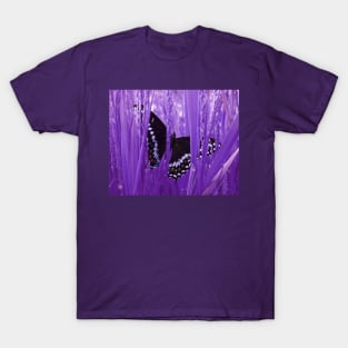 Purple Grass Swallowtail Butterfly T-Shirt